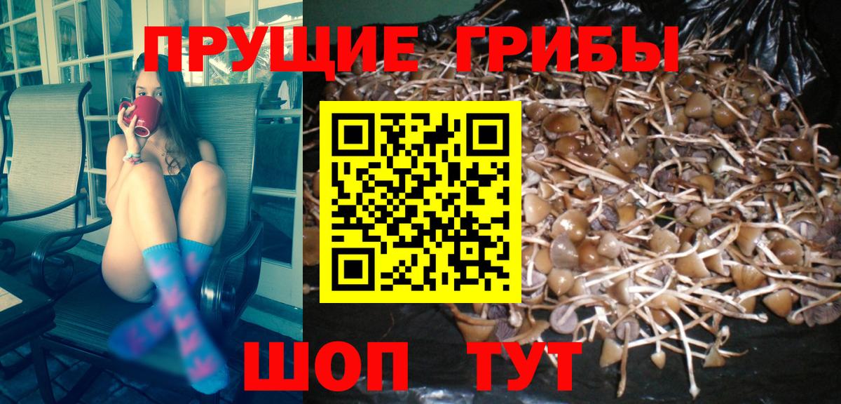Галлюциногенные грибы мухоморы Семилуки